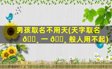 男孩取名不用天(天字取名 🌸 一 🌸 般人用不起)